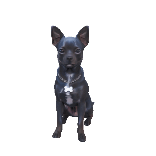 Mascota 3D: Tu Mejor Amigo, Inmortalizado en un Recuerdo Único